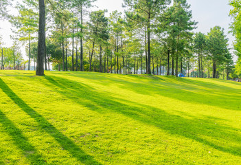 Sunlight sloping into green meadows and woods