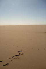 walk on the sandbank