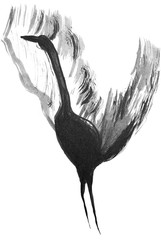bird graphics on white background, graphic crane or heron wallpaper