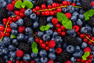 Blackberry, raspberry, blueberry,  red currant and mint background.