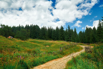 Fototapeta na wymiar Beautiful summer landscape - country road on hills with spruces, wooden fence, cloudy sky at bright sunny day. Village with wooden homes. Carpathian mountains. Ukraine. Europe. Travel background.