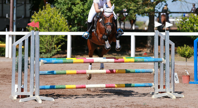 Horse on a jumping tournament, photographed in flight over the obstacle..