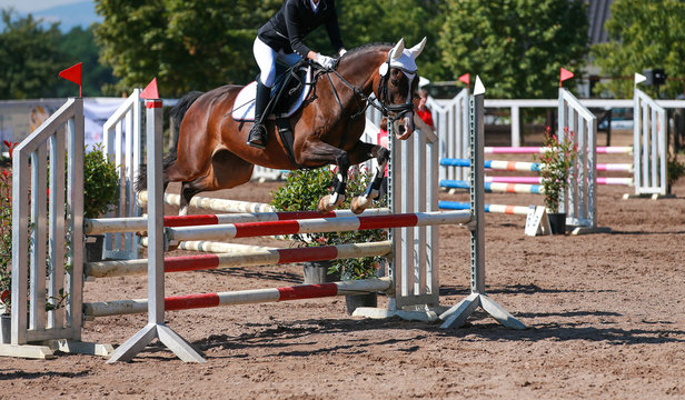 Horse on a jumping tournament, photographed in flight over the obstacle..