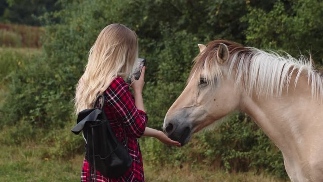 Blonde girl interacting and taking picture of horse with mobile. Handheld