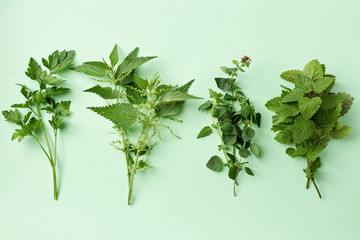 Fresh herbs on pastel background