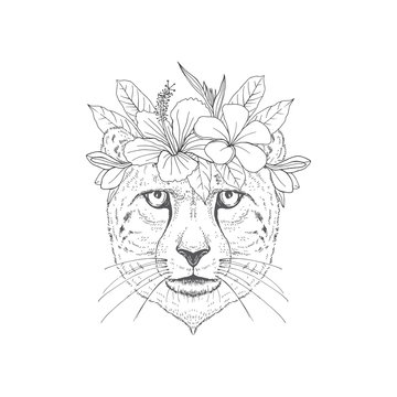 Puma with floral wreath hand drawn sketch. African predator cat face black ink illustration. Decorative exotic foliage, blossom engraving. Monochrome feline hunter for postcard, greeting card design