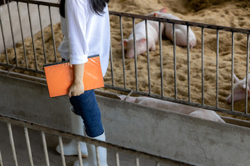 Cropped image of smart farmer with notes for checking quality in hands in organic farm pig. Agriculture and livestock industry