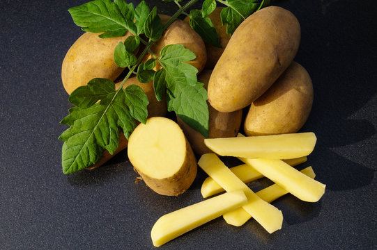 Kartoffel Solanum tuberosum