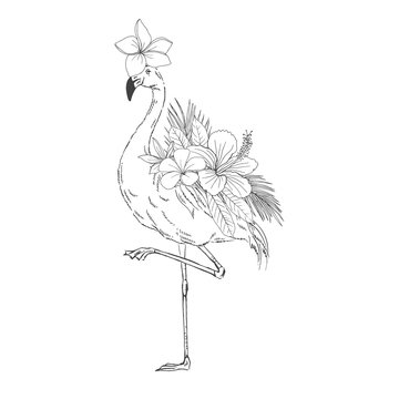 recommend clip art: Flamingo with floral decor hand drawn sketch. Elegant bird with Plumeria flower on head black ink illustration. Avian animal minimalist engraving with tropical foliage coloring book design element