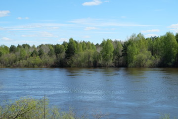 river in the forest