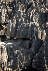 Parc national des Tsingy du massif du Bemaraha, Patrimoine mondial de l'UNESCO, Madagascar