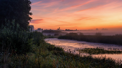 Poranek nad Narwią. Dolina Górnej Narwi © podlaski49