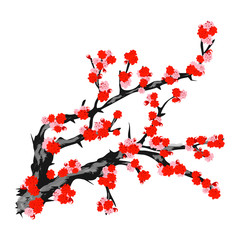 Fototapeta premium Cherry blossoms, vector illustration