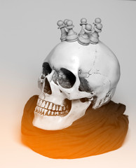 Skull, skulls, king, nautilus