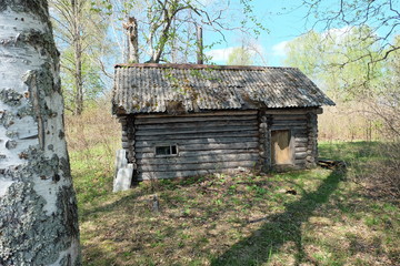 house in the forest