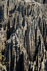 Parc national des Tsingy du massif du Bemaraha, Patrimoine mondial de l'UNESCO, Madagascar