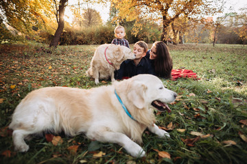 Family with a child and two golden retrievers in an autumn park