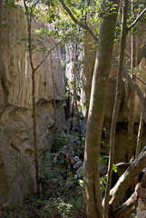 Parc national des Tsingy du massif du Bemaraha, Patrimoine mondial de l'UNESCO, Madagascar