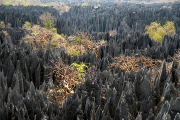 Parc national des Tsingy du massif du Bemaraha, Patrimoine mondial de l'UNESCO, Madagascar