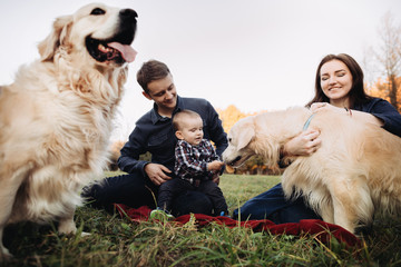 Family with a child and two golden retrievers in an autumn park