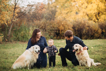 Family with a child and two golden retrievers in an autumn park