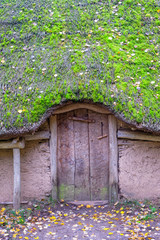 Fototapeta na wymiar Closed door at a cottage with thatched roof and green moss