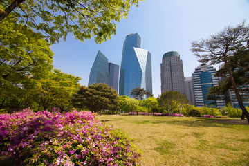 Park near office buildings in Seoul