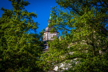 Backnanger Stadtturm hinter B&auml;umen