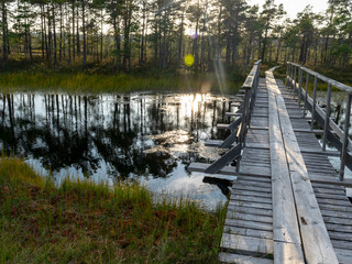 Fototapeta premium beautiful landscape with small bog lakes, wonderful glittering, white clouds, Nigula bog, Estonia