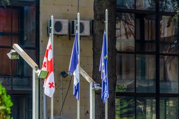 flag of the European Union and Georgia on the background of a glass building, a tree