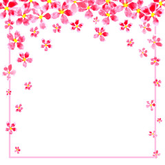 Elegant floral collection with pink flowers, hand drawn watercolor.