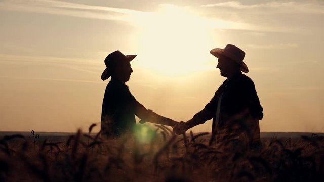 eam work. Two farmers stand at sunset in a wheat field, and discuss the new crop.. Farmers use new technologies in agriculture. Growing organic products.