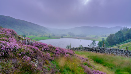 Overcast and drizzle view over Watendlath Tarn, Lake District National Park