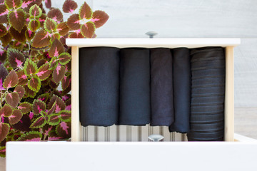 clothing black folded vertically into a neat stop in the drawers of the Cabinet, houseplant purple-green сoleus
