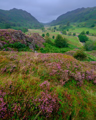Overcast views from Watendlath towards Derwent water in the Lake District, UK