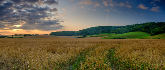 Summer sunrise on the South Downs near Didling, West Sussex.