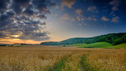 Summer sunrise on the South Downs near Didling, West Sussex.