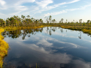 beautiful landscape with small bog lakes, wonderful glittering, white clouds, Nigula bog, Estonia