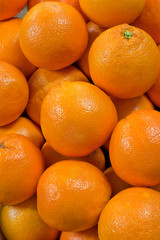 A group of oranges selling in a market