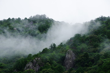 Fototapeta premium 雨上がりの山