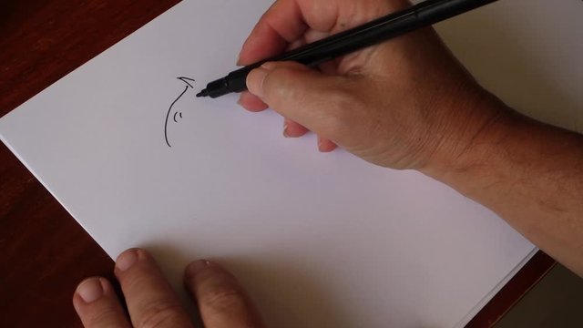 shot of my hand drawing representing a horse