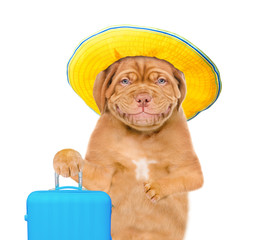 Smiling puppy with summer hat  holding suitcase. isolated on white background