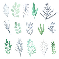 Watercolor green leaves set