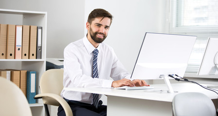 Portrait of businessman working in an office