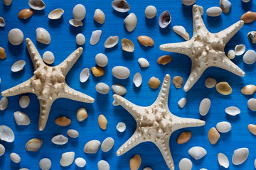 Background of sea shells and starfish