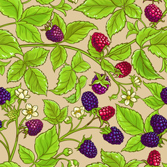 boysenberry vector pattern