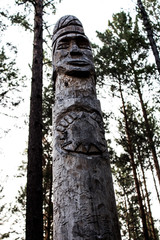 forest idol
