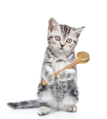 Tabby kitten with shower cap standing on hind legs and holding  bath brush. isolated on white background