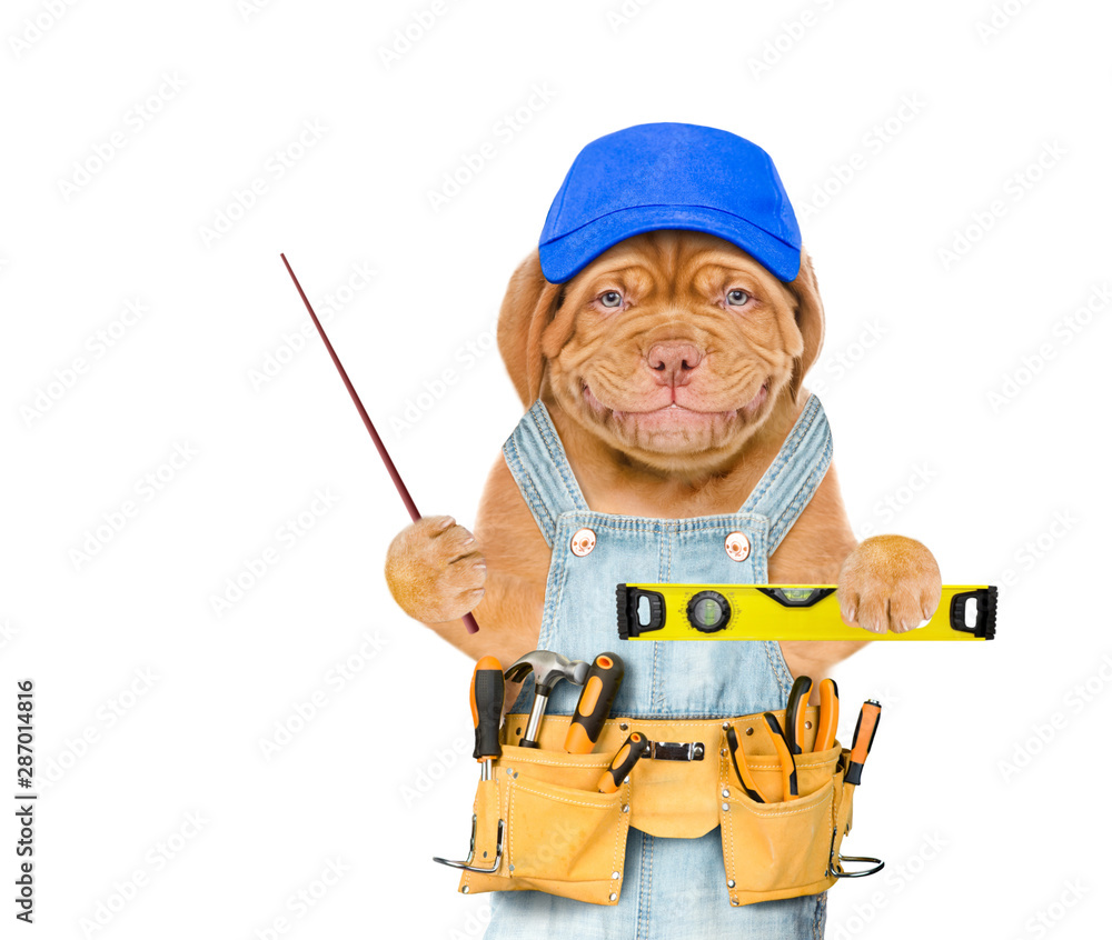Poster Smiling puppy worker  with blue cap and tool belt holding spirit level and pointing away on empty space.  Isolated on white background