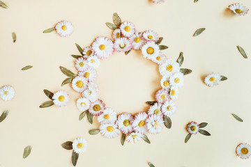 Round wreath frame copy space mock up. Daisy chamomile flower buds background. Flat lay, top view floral summer concept.